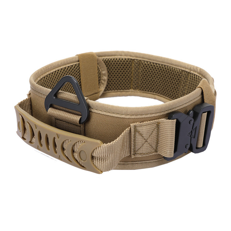 Anchor tactical dog collar in Coyote Brown with metal buckle