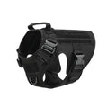 Black Blacktop Everyday Harness, three-quarter view showing the chest D-ring, the grab handle and the quick-release buckles