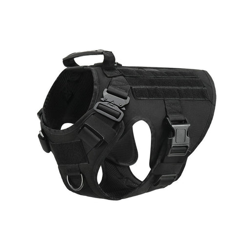 Black Blacktop Everyday Harness, three-quarter view showing the chest D-ring, the grab handle and the quick-release buckles