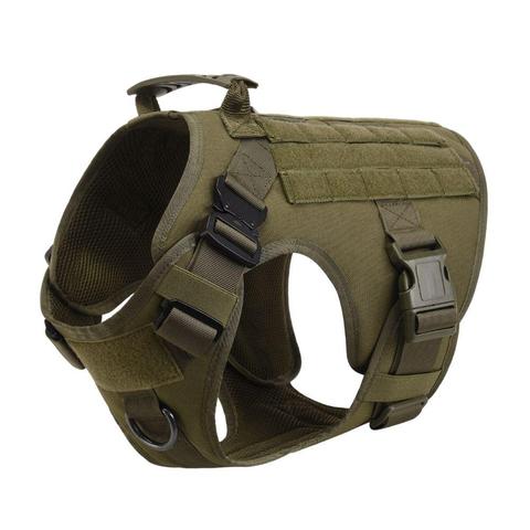 Ranger Green Blacktop Everyday Harness, three-quarter view showing the chest D-ring, the grab handle and the quick-release buckles