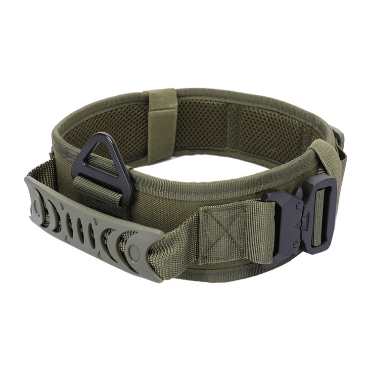 Anchor tactical dog collar in Ranger Green with metal quick-release buckle