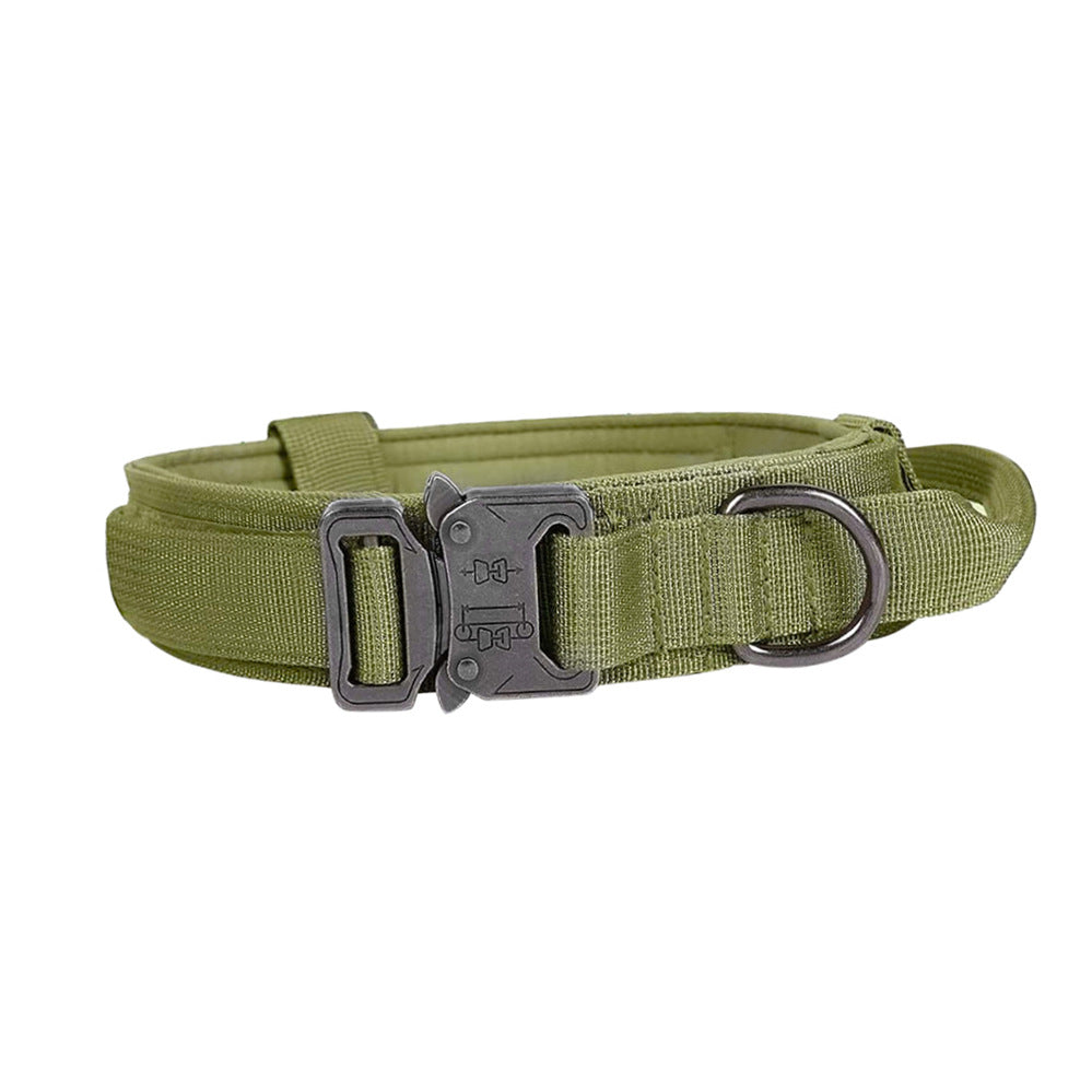 Ranger Green Anchor Tactical Collar with metal buckle, D-ring and padded lining