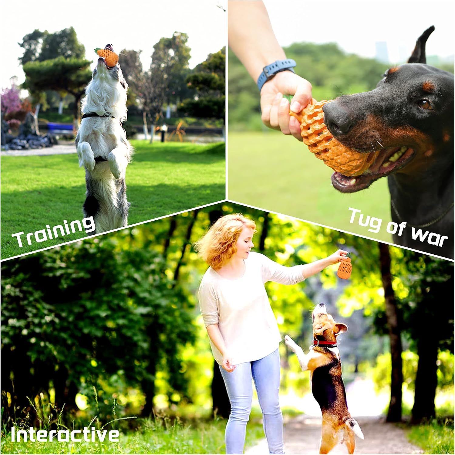 Three dogs using the Bedrock Rubber Chew outdoors — catching it, holding one end of it in a tug, and working for it in a training session