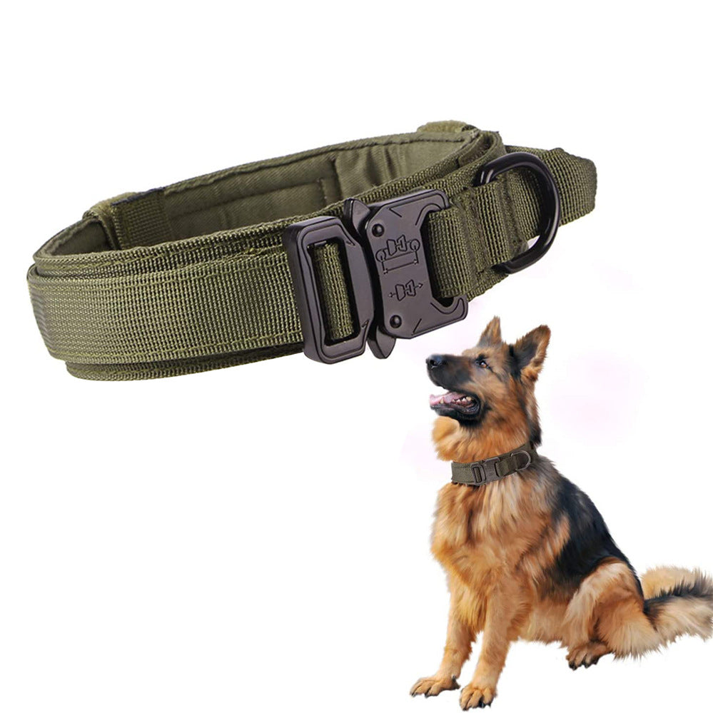 Ranger Green Anchor Tactical Collar shown beside a German Shepherd wearing one, control handle and metal buckle visible