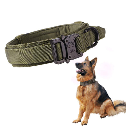 Army green Anchor Tactical Collar shown beside a German Shepherd wearing one, control handle and metal buckle visible