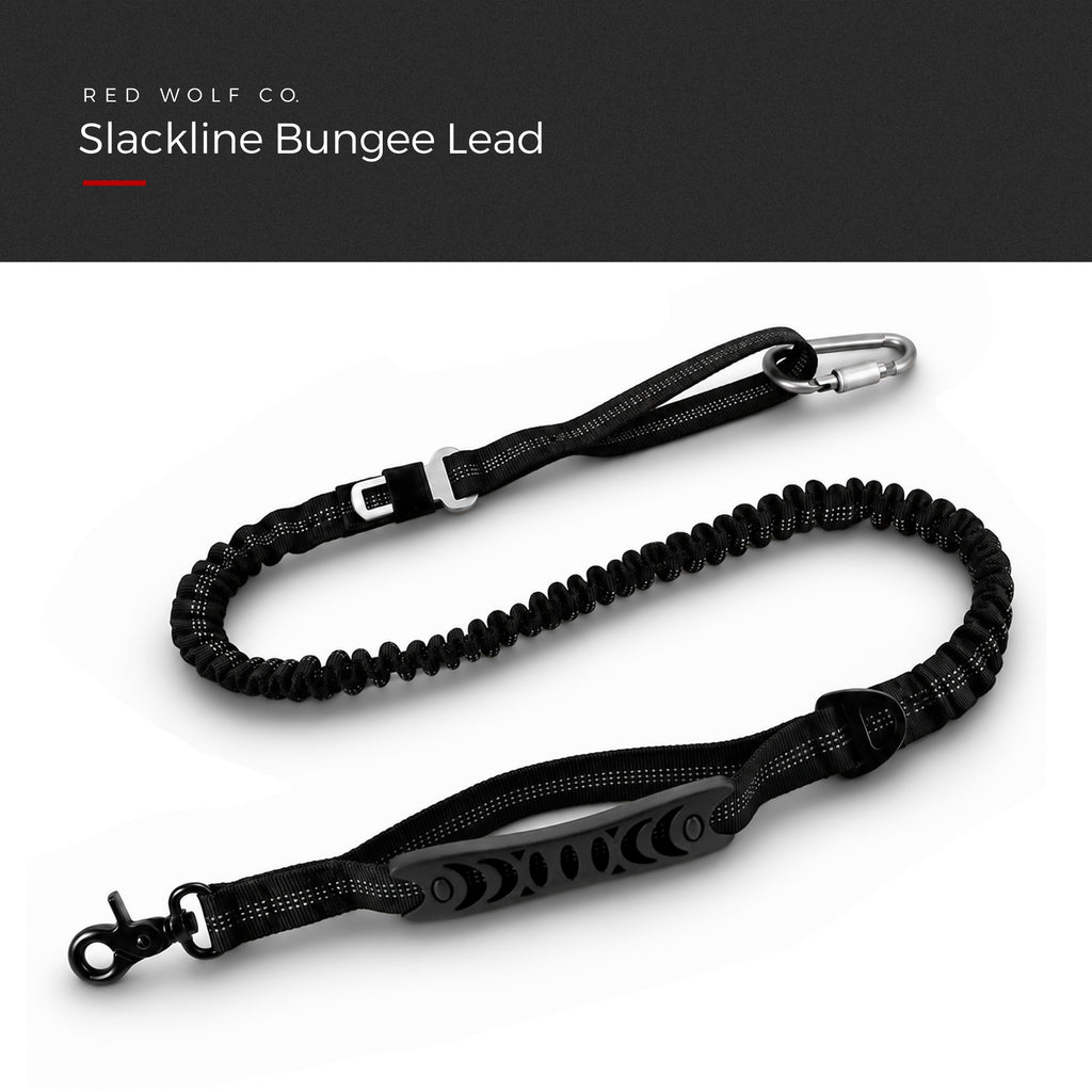 Blackout — Slackline Bungee Lead laid out full length, showing the elastic section, reflective stitching, seatbelt buckle, carabiner and padded handle, under a Red Wolf Co. title banner