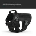 Blackout — Blacktop Everyday Harness, three-quarter view showing the grab handle, the quick-release buckles and the loop panels, under a Red Wolf Co. title banner