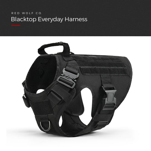 Blackout — Blacktop Everyday Harness, three-quarter view showing the grab handle, the quick-release buckles and the loop panels, under a Red Wolf Co. title banner