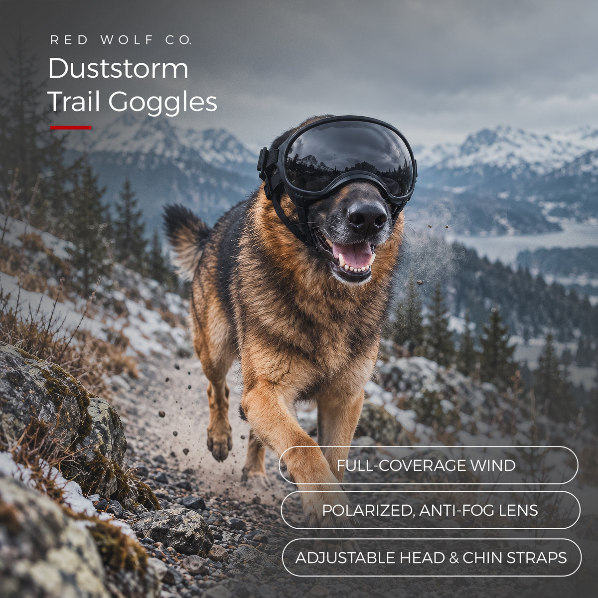 Smoke — A German Shepherd running a rocky mountain trail in the Duststorm Trail Goggles with smoke lenses, with call-outs for full-coverage wind protection, the polarized anti-fog lens and the adjustable head and chin straps