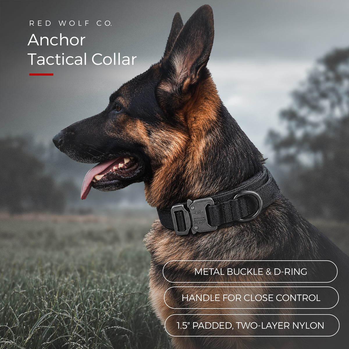 Blackout — A German Shepherd in profile in a misty field wearing the Blackout Anchor Tactical Collar, with call-outs for the metal buckle and D-ring, the control handle and the 1.5 inch padded two-layer nylon