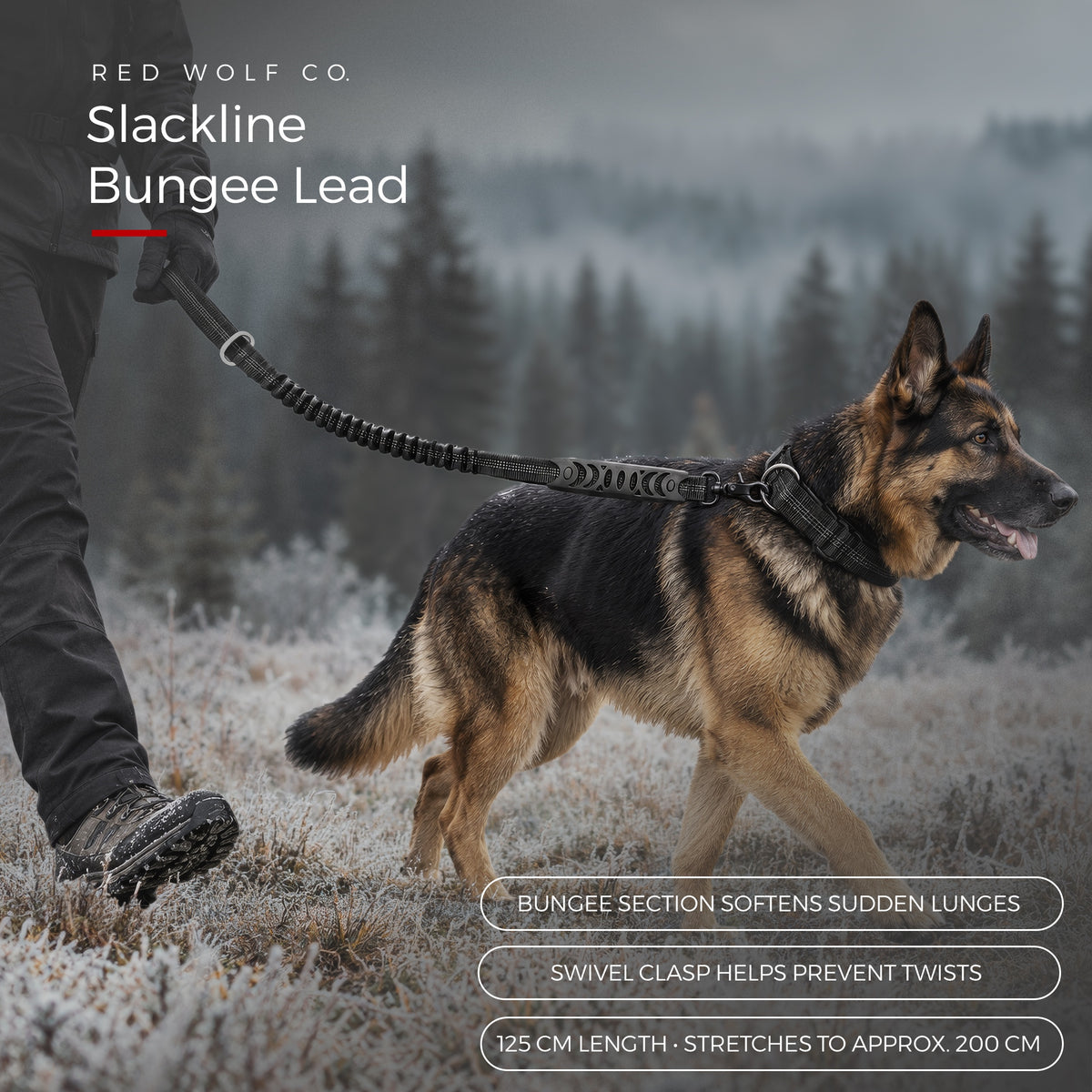 Blackout — A German Shepherd walking a frosty trail on the Slackline Bungee Lead, with call-outs for the bungee section, the swivel clasp and the 125 cm length that stretches to about 200 cm