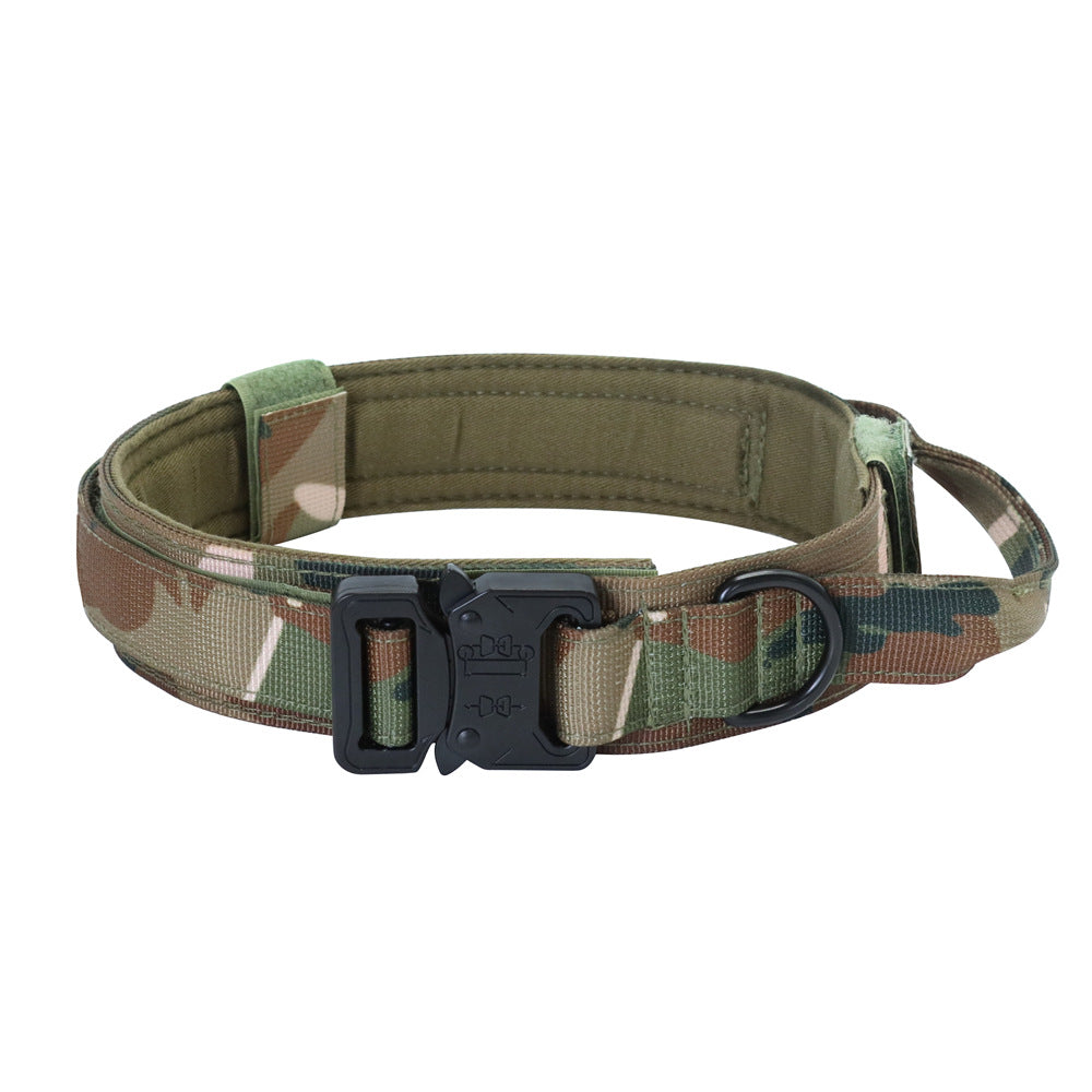 OCP Camo Anchor Tactical Collar with black metal buckle and D-ring